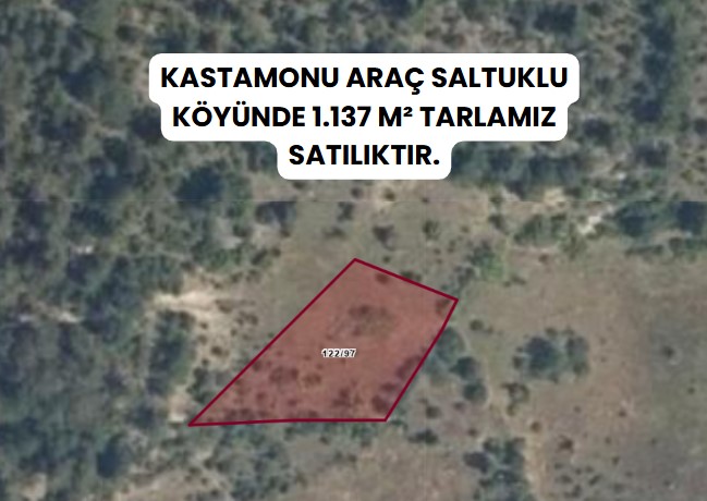 KASTAMONU ARAÇ SALTUKLU  KÖYÜNDE  1.137  M² TARLA SATILIKTIR - KASTAMONU ARAÇ fotoğraf 6